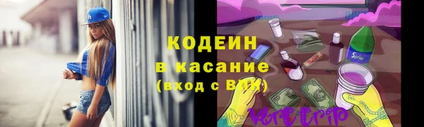 стаф Арсеньев