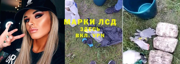 стаф Арсеньев